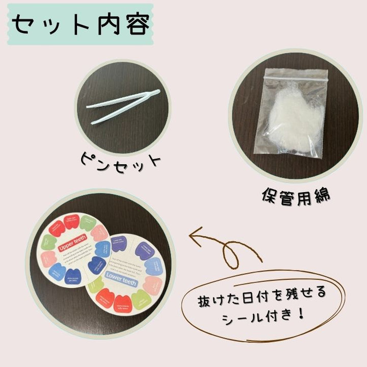 インテリアにもなるかわいい象のデザインのパステルカラー乳歯ケース